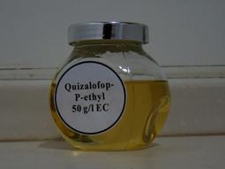 Quizalofop-P-ethyl